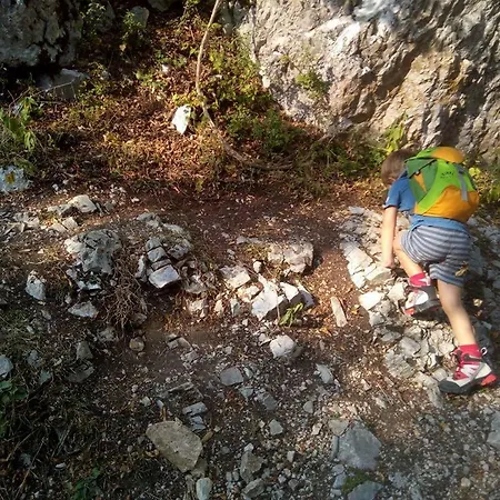 River Cave Slovenia * Visoko (Sencur)