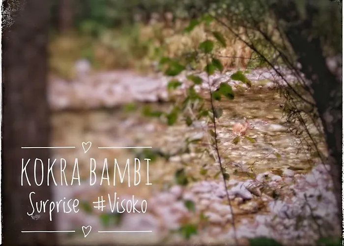 River Cave Slovenia Visoko (Sencur)