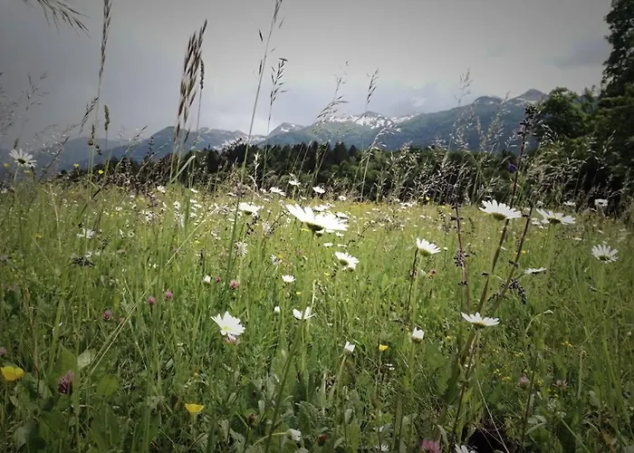 River Cave Slovenia Apartamento *